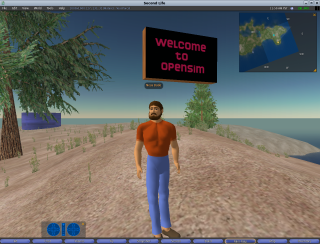 Opensim avatar.png